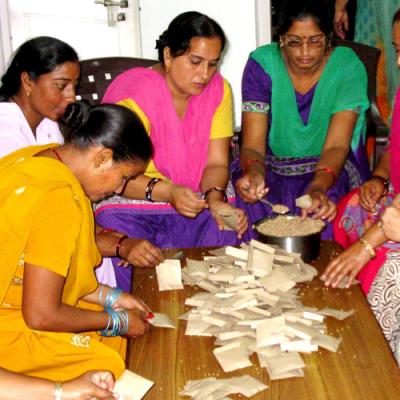 Seed Packing 10