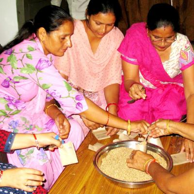 Seed Packing 4