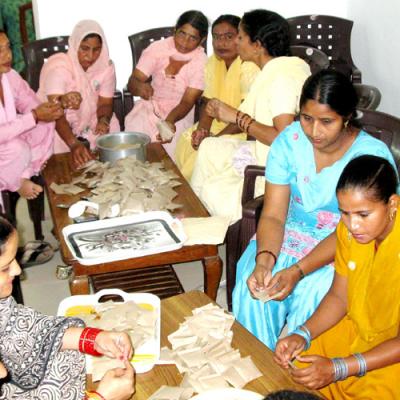Seed Packing 6